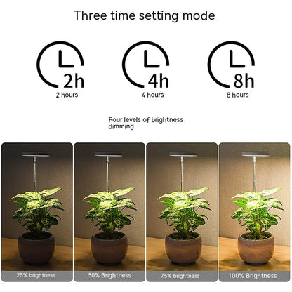 Angel Ring Plant Lamp